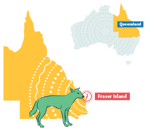 Fraser island australia location map